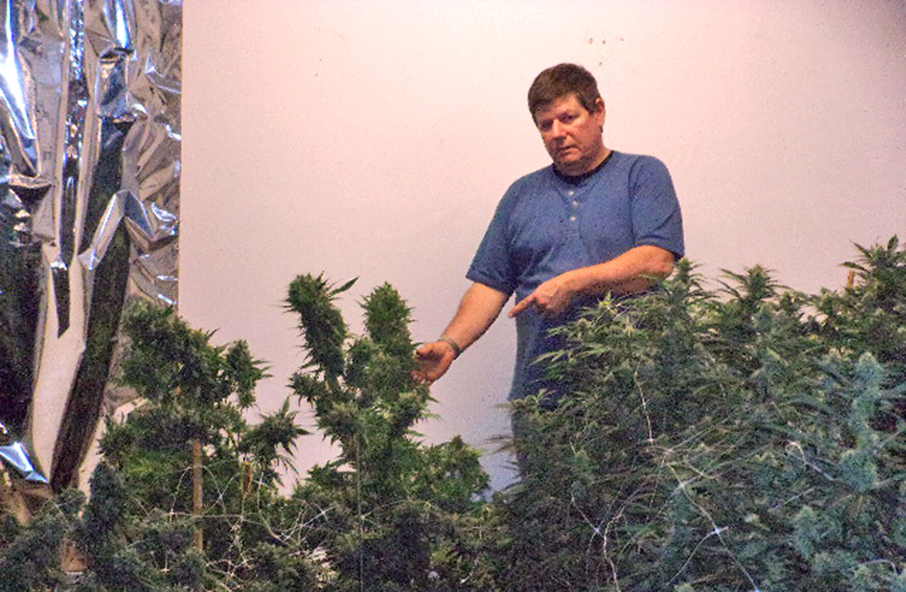 Great Alaskan Bud Company